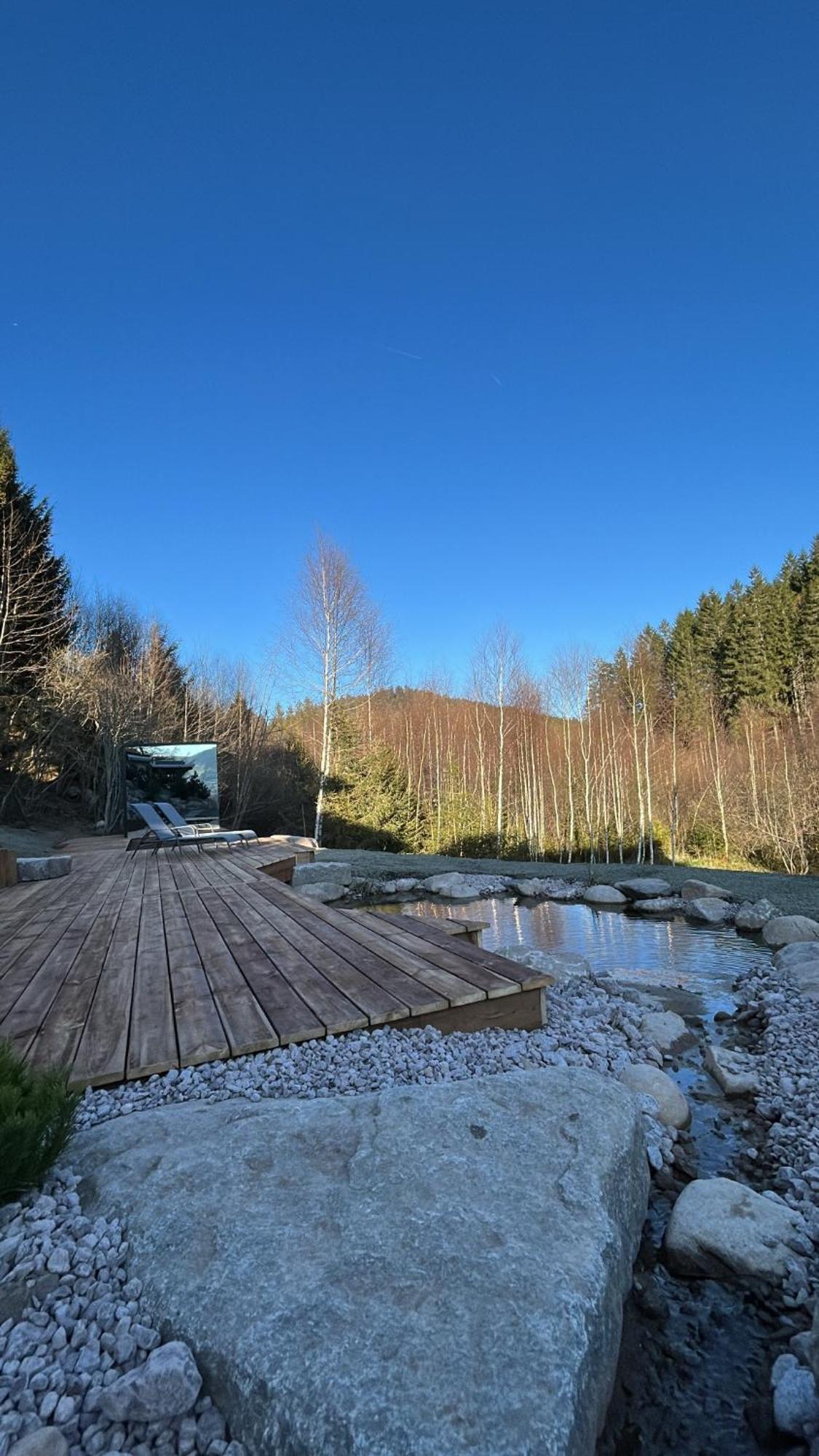 Domaine Les Terres Bleues Hotel Xonrupt-Longemer Eksteriør billede