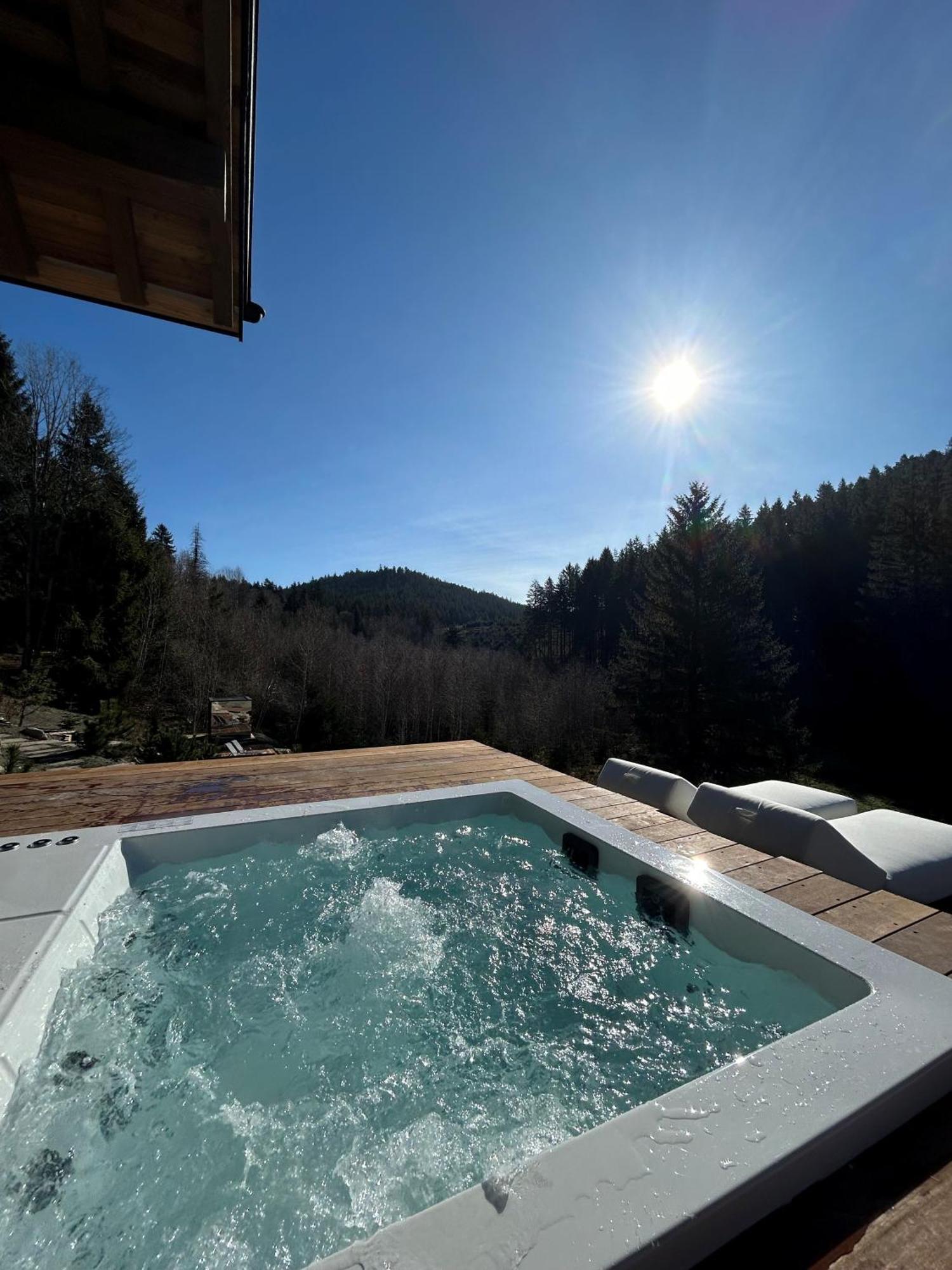 Domaine Les Terres Bleues Hotel Xonrupt-Longemer Eksteriør billede